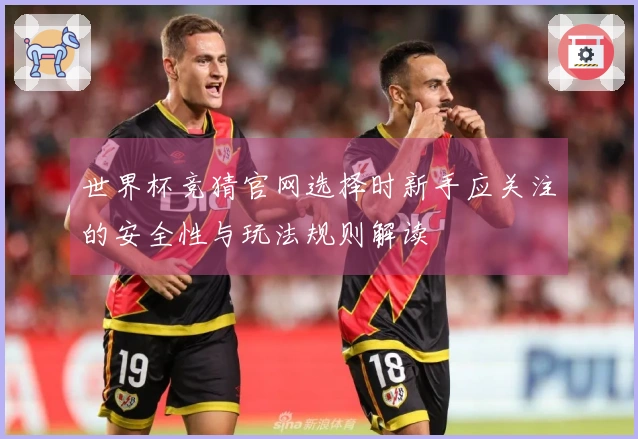 世界杯竞猜官网选择时新手应关注的安全性与玩法规则解读
