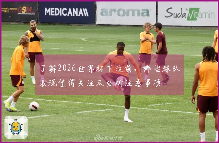 了解2026世界杯下注前，哪些球队表现值得关注及分析注意事项