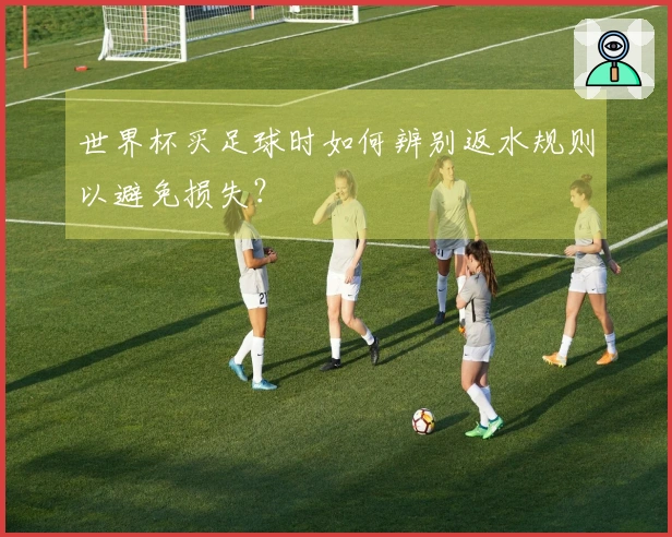 世界杯买足球时如何辨别返水规则以避免损失？
