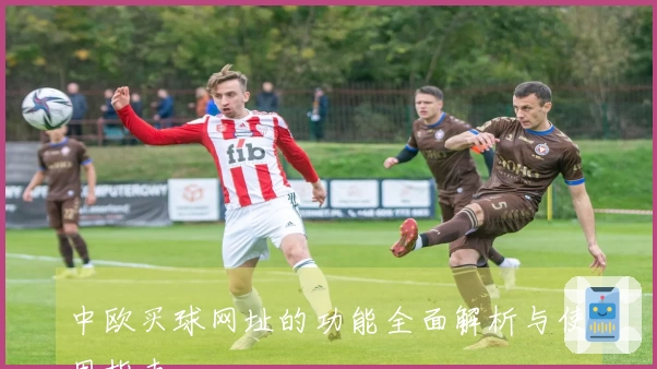 中欧买球网址的功能全面解析与使用指南