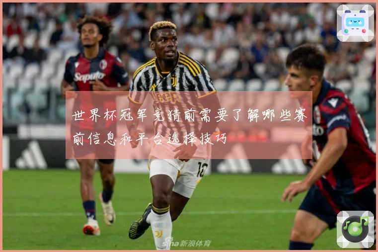 世界杯冠军竞猜前需要了解哪些赛前信息和平台选择技巧