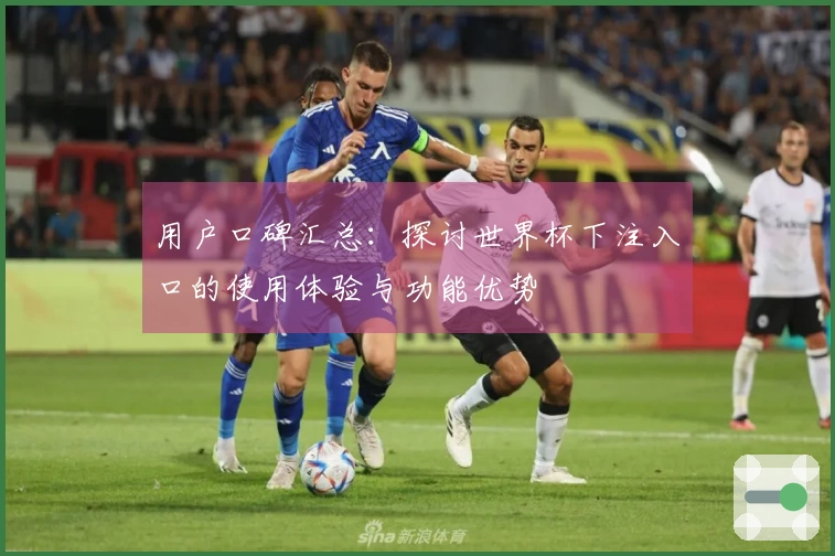用户口碑汇总：探讨世界杯下注入口的使用体验与功能优势