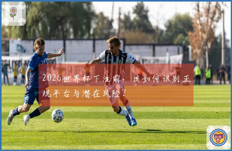 2026世界杯下注前,该如何识别正规平台与潜在风险?