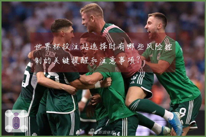 世界杯投注站选择时有哪些风险控制的关键提醒和注意事项？