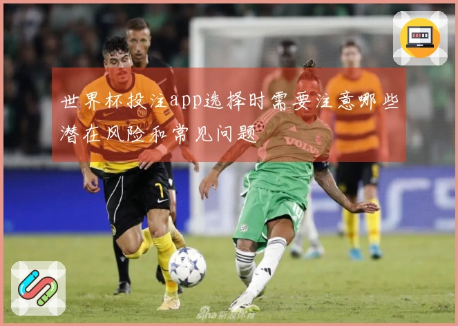 世界杯投注app选择时需要注意哪些潜在风险和常见问题