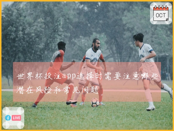 世界杯投注app选择时需要注意哪些潜在风险和常见问题