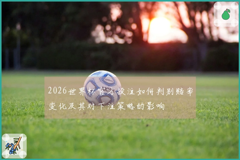 2026世界杯官方投注如何判别赔率变化及其对下注策略的影响