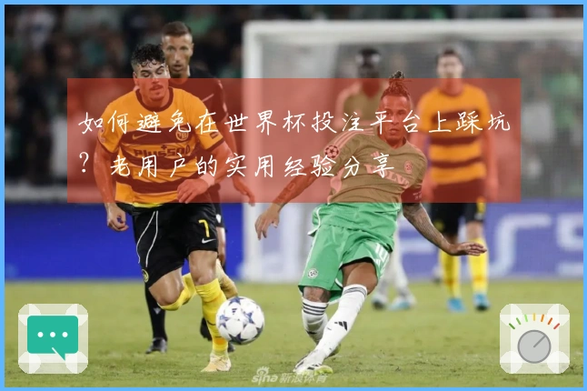 如何避免在世界杯投注平台上踩坑?老用户的实用经验分享