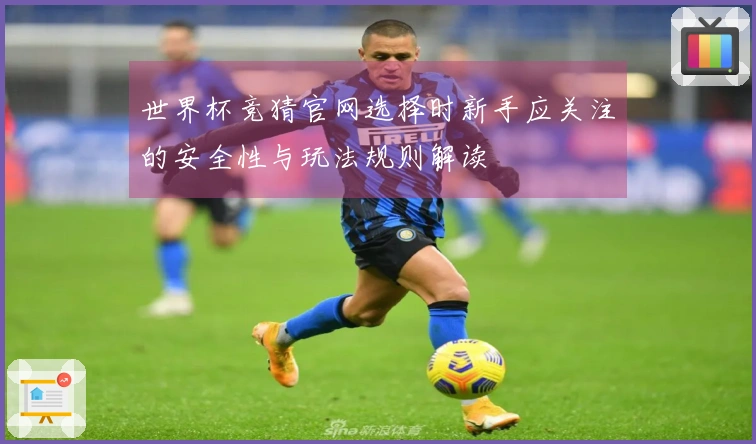 世界杯竞猜官网选择时新手应关注的安全性与玩法规则解读