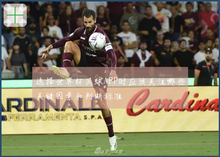 选择世界杯买球APP时应该关注哪些关键因素和判断标准