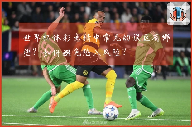 世界杯体彩竞猜中常见的误区有哪些？如何避免陷入风险？