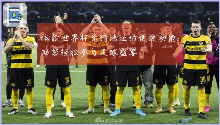 体验世界杯竞猜地址的便捷功能，助您轻松参与足球盛宴