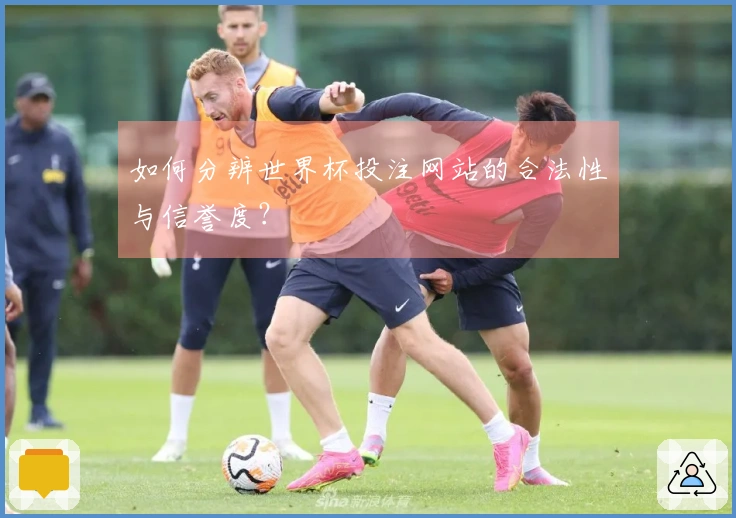 如何分辨世界杯投注网站的合法性与信誉度？