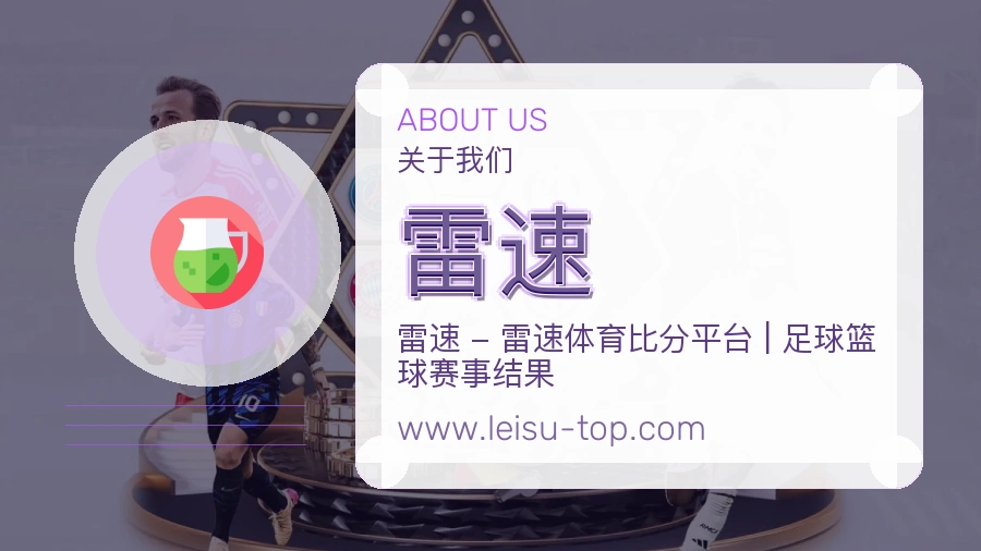 <strong>雷速</strong>品牌定位说明